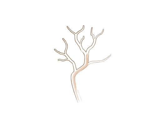 bonsai branch